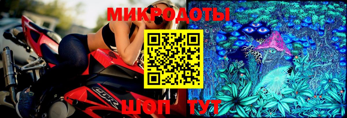 Киселёвск  Галлюциногенные грибы Psilocybine cubensis  Вход с VPN 